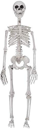 30in Pose-N-Stay Full Body Skeleton Plastic Bones