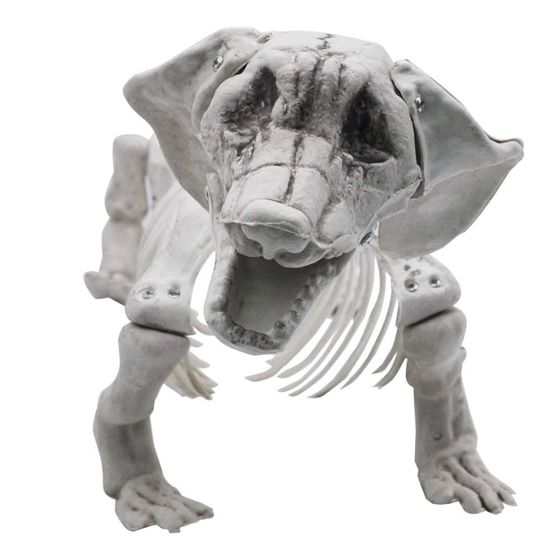 For Living Skeleton Wiener Dog Prop, White, 21-in, Indoor/Outdoor  Decoration for Halloween