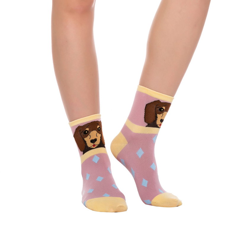 Women's Animal Socks, 5 Pairs