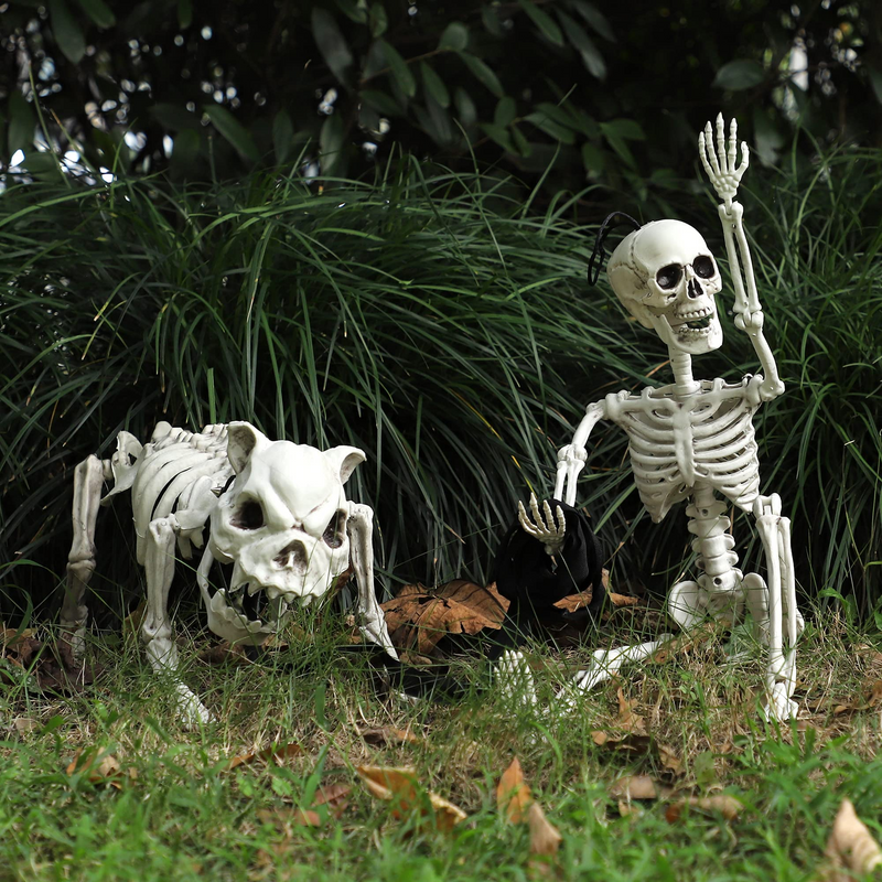 16in Halloween Movable Joints Dog Skeleton, 2 Pcs