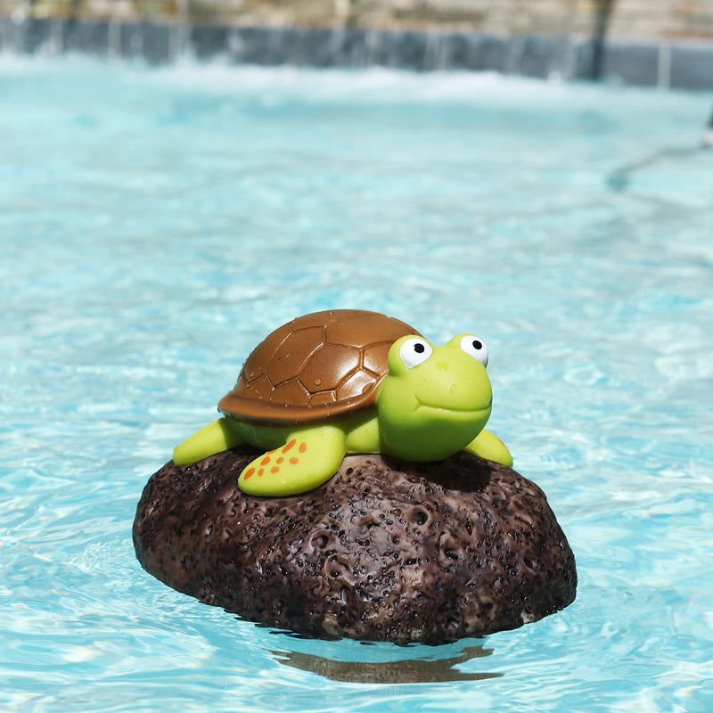 Turtle with Stone Chlorine Dispenser