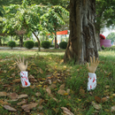 17.25in Bloody Arm Lawn Stakes