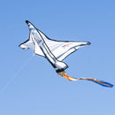 Spaceship Kite