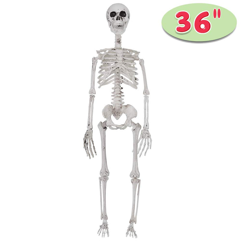 30" Pose-N-Stay Full Body Skeleton Plastic Bones