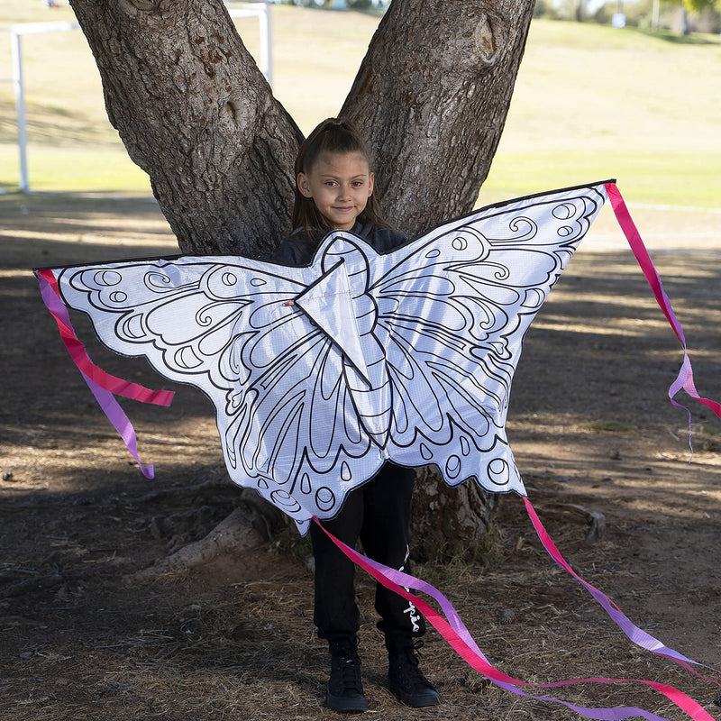 DIY Butterfly Kite