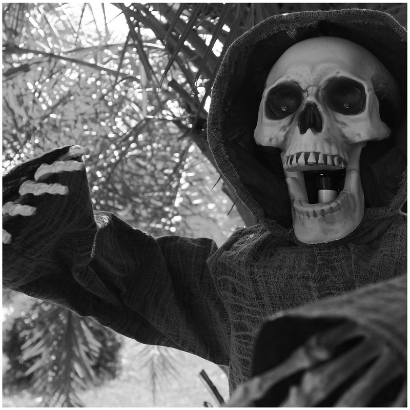 50" Hanging Skeleton Ghost Reaper