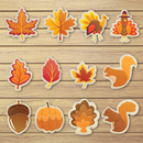 Thanksgiving Cookie Cutter Set,12 Pcs