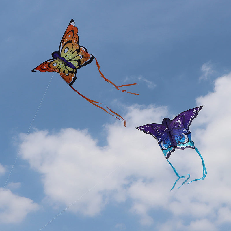 2 Packs Butterfly Kite Yellow and Blue