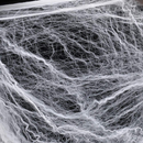 Giant Spider Web Set With 5 Ft Spider