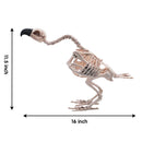 Pose-N-Stay Vulture Skeleton