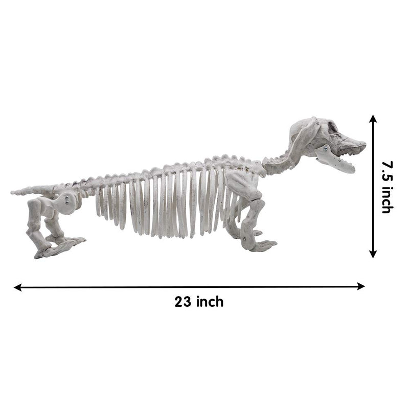 Pose-N-Stay Wiener Dog Skeleton
