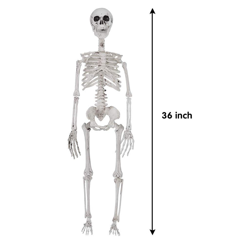 30" Pose-N-Stay Full Body Skeleton Plastic Bones