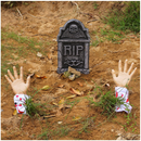 17.25in Bloody Arm Lawn Stakes